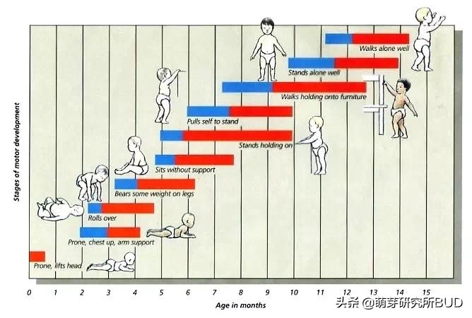 游戏陪玩术语_游戏陪玩基本常识_游戏陪玩培训资料